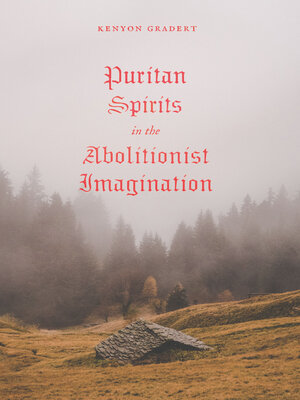 cover image of Puritan Spirits in the Abolitionist Imagination
